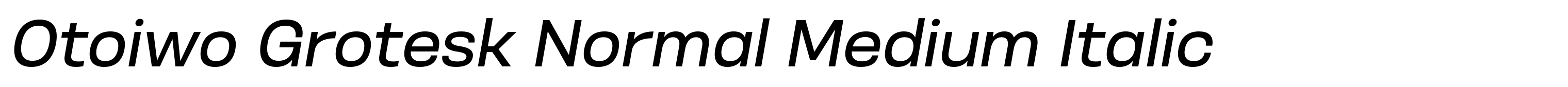 Otoiwo Grotesk Normal Medium Italic